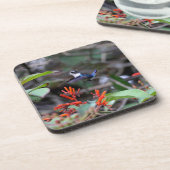 Hummingbird in flight赤い花 コースター (左側)