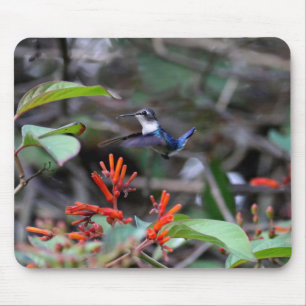 Hummingbird in flight赤い花 マウスパッド