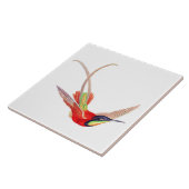 Hummingbird in Flight タイル (側面)