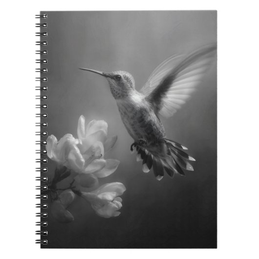 Hummingbird in Flight Blossom Notebook ノートブック (正面)