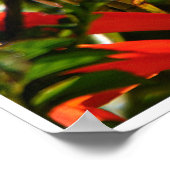 Hummingbird in Flight – Garden Wildlife Photo ポスター (角)