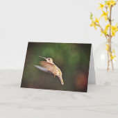 Hummingbird in Flight Note Card カード (黄色い花)