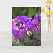 Hummingbird Moth & Verbena，カード カード (黄色い花)