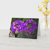 Hummingbird Moth & Verbena，カード カード (黄色い花)