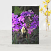 Hummingbird Moth & Verbena，カード カード (黄色い花)