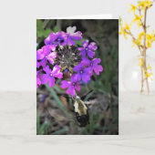 Hummingbird Moth & Verbena,カード カード (黄色い花)