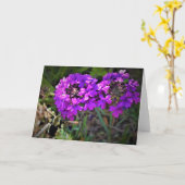Hummingbird Moth & Verbena,カード カード (黄色い花)