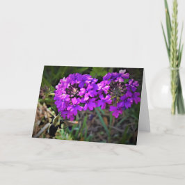 Hummingbird Moth & Verbena,カード カード