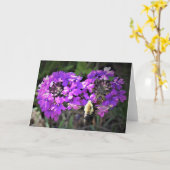 Hummingbird Moth & Verbena，カード カード (黄色い花)