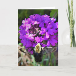 Hummingbird Moth & Verbena,カード カード