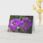 Hummingbird Moth & Verbena，カード カード (黄色い花)