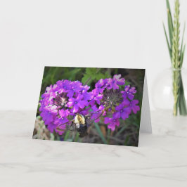 Hummingbird Moth & Verbena,カード カード