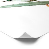 Hummingbird No.12アンティークバードポスタープリント。 ポスター (角)