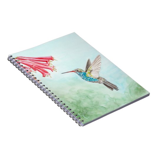 Hummingbird notebook ノートブック (右側)