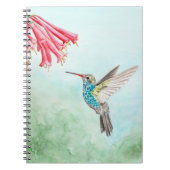 Hummingbird notebook ノートブック (正面)