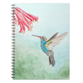 Hummingbird notebook ノートブック