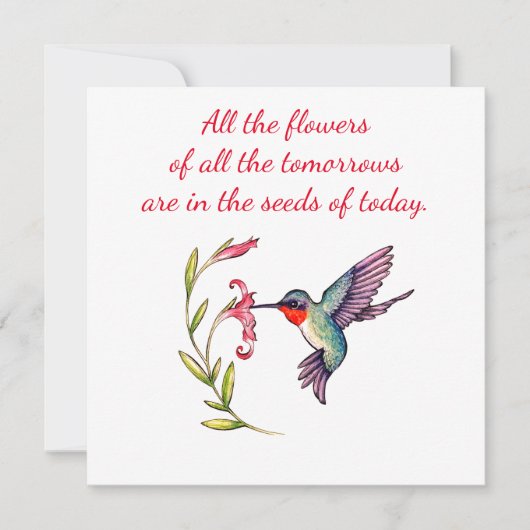 Hummingbird notecard 5 x 5 ノートカード (正面)