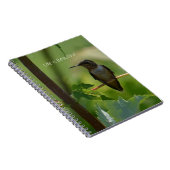 Hummingbird on Branch (my photography) ノートブック (右側)