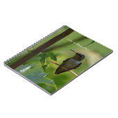 Hummingbird on Branch (my photography) ノートブック (左側)