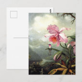 Hummingbird Perched, fine art, ポストカード (正面/裏面)