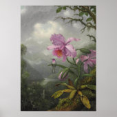 Hummingbird Perched on an Orchid Plant by MJ Heade ポスター (正面)