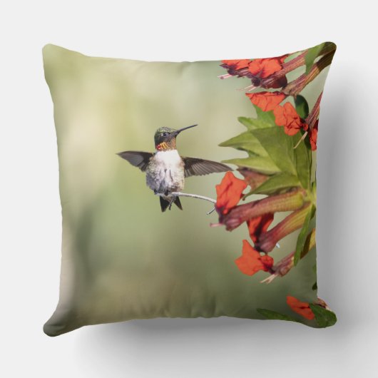 Hummingbird Red Flora Gift for Mom | Throw Pillow  クッション (裏面)