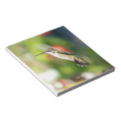Hummingbird Sanctuary Professional Photography  ノートパッド (アングル)