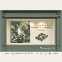 Hummingbird Sanctuary Professional Photography