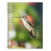 Hummingbird Sanctuary Professional Photography  ノートブック (正面)