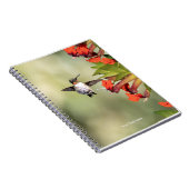 Hummingbird Sanctuary Professional Photography  ノートブック (右側)