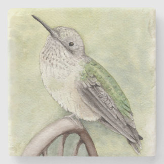 Hummingbird Stone Coaster ストーンコースター