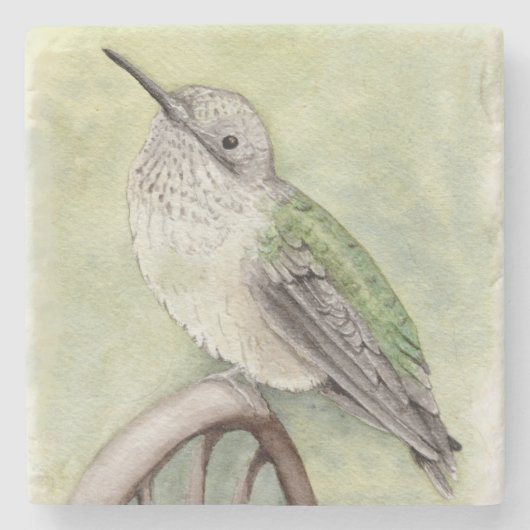 Hummingbird Stone Coaster ストーンコースター (正面)