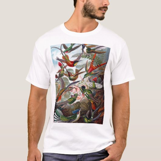 Hummingbird Tシャツ (正面)