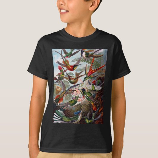 Hummingbird Tシャツ (正面)