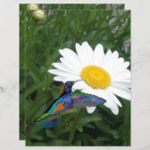 Hummingbird themed Scrapbook paper  (正面/裏面)