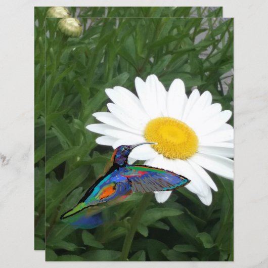 Hummingbird themed Scrapbook paper  (正面/裏面)