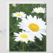 Hummingbird themed Scrapbook paper  (裏面)