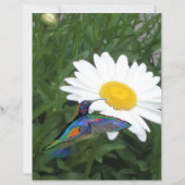 Hummingbird themed Scrapbook paper (正面)