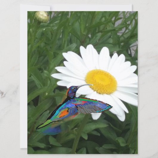 Hummingbird themed Scrapbook paper  (正面)