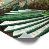 Hummingbird (Trochilidae) by Haeckel Poster ポスター (角)