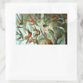 Hummingbird (Trochilidae) by Haeckel Rectangle Sti 長方形シール (バッグ)