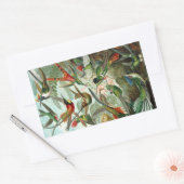 Hummingbird (Trochilidae) by Haeckel Rectangle Sti 長方形シール (封筒)