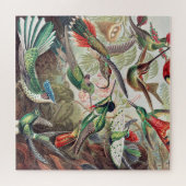 Hummingbird, Trochilidae Kolibruses by Ernst Haeck ジグソーパズル (横)