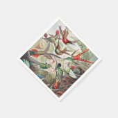 Hummingbird, Trochilidae Kolibruses by Ernst Haeck スタンダードカクテルナプキン (角)