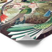 Hummingbird, Trochilidae Kolibruses by Ernst Haeck ポスター (角)