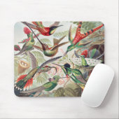 Hummingbird, Trochilidae Kolibruses by Ernst Haeck マウスパッド (マウス)