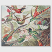 Hummingbird, Trochilidae Kolibruses by Ernst Haeck ラッピングペーパー (フラット)