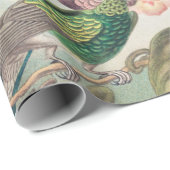 Hummingbird, Trochilidae Kolibruses by Ernst Haeck ラッピングペーパー (ロールコーナー)