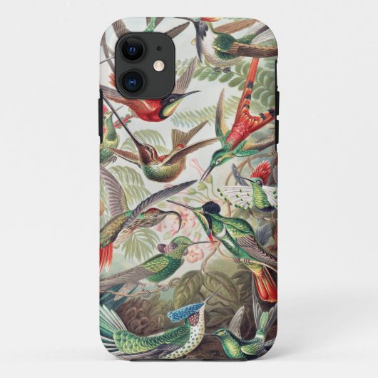 Hummingbird, Trochilidae Kolibruses by Ernst Haeck Case-Mate iPhoneケース (裏面)