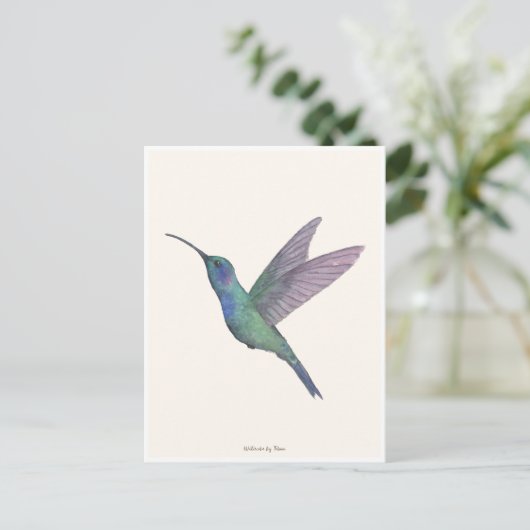 Hummingbird Watercolor ポストカード (スタンド正面)
